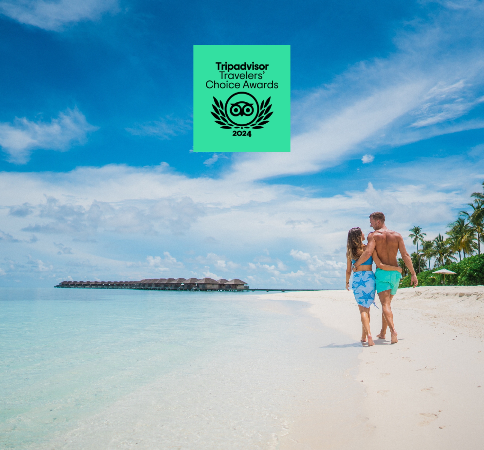 Crown & Champa Resorts wins TripAdvisor Travellers' Choice Awards 2024 ...