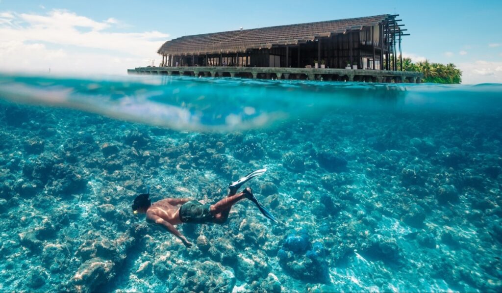 Kudadoo Maldives and its house reef