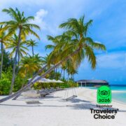 TripAdvisor_Awards_2026